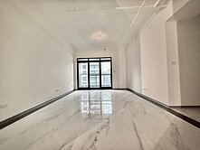 央北捷運稀有電梯高樓三房坡平車