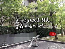 【豪哥嚴選】R14巨蛋捷運|公園景觀四房雙平車