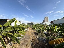 🔥大里臨路都計內農地🔥