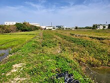 桃園市新屋區笨子港段土地