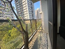 陳蔥｜大雅童畫世界２房２廳