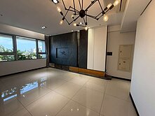 ✨達麗世紀雙星✨正3房大平車