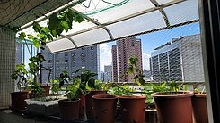 近亞灣～邊間三面採光～大坪數三房