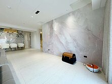 ★定潮☆亞灣區國際指標性豪宅★平車