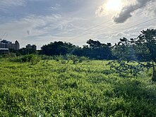 正龍安街大面寬都內農