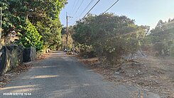 南投竹山2.8甲農場