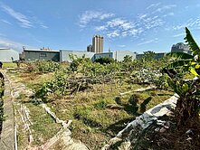 近大里仁化路臨路農地