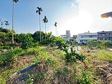 【188萬｜南投名間｜大老巷】東仁段—持分農地A