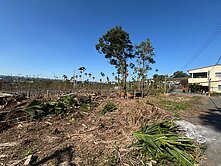 昕選好屋❤東勢小坪數乙工