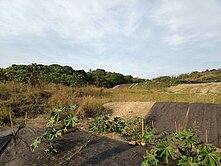 📣📣國道一 台中 大肚 萬坪 農牧用地