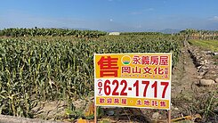 紘緯推薦*美濃💕雙面臨路💕玉米甜香農地