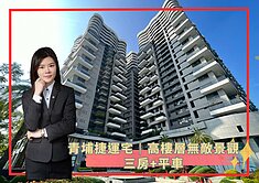 蓁🍒青埔捷運宅│綠帶環腰高樓景觀三房+平車