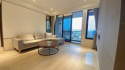 青埔Iris🐟青埔國泰站前｜高樓景觀2+1房車