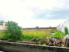 宜蘭正台七旁特農