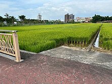 正中興路20米雙面臨路~可變更多項設施~一般農