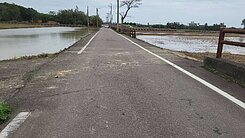 150中壢山東農地