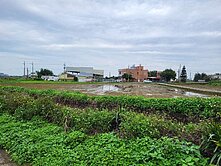 150中壢山東農地
