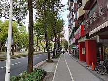 👑中山北路林蔭大道電梯精華兩房🏆