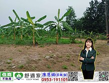 眺望大武山自建優選農地