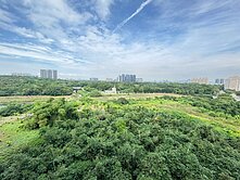 德賢商圈｜都會公園旁首排美景｜超低公設明亮3房