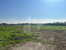 屏東土地《海豐濕地 綠光農地》