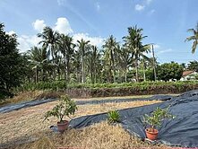 屏東土地《長治冠迪豪宅區都農-三角窗》