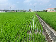 台慶大勝-近苗栗高鐵｜二期 雙面臨路方正美農地