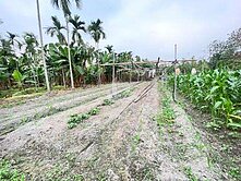 屏東土地《長治優質農地》