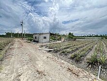 屏東土地《潮州四春3分便宜農地》