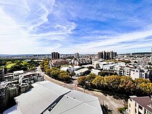 南屯🙆楓樹「遊川楓」低於行情！美吱吱2房+平車