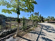 市場獨家｜924坪農地合法資材室｜水源電力完備