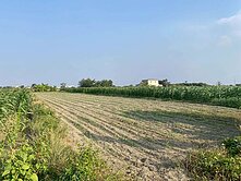 七股423坪優質農地(一般)