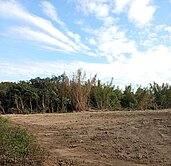 君君精選💎歸仁崙頂1.2分超值美農地