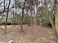 外埔-方正平坦農地