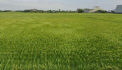 員林交流道附近特定區變更計劃用地千坪