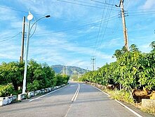 新化區~臨15米路一般農310坪