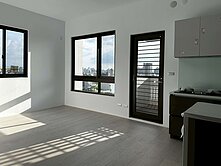 洲際14期｜漢神巨蛋｜2房2衛平車｜雅正Young