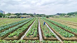 國際路.南平路延伸計畫/都計內.早買早賺