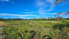 【專】東河鄉近海百米湧泉美地 B1125