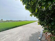 新營都內農地