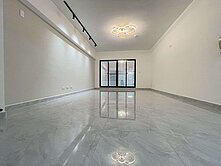 科工館/大四房/建興建工雙商圈/翻新奢華大樓