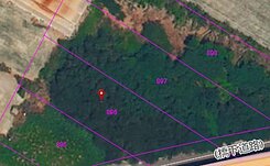 💜彰化西濱快速道路｜入手低總價臨路農地💜