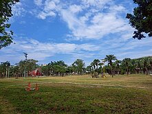 小港國際花市店住透天 