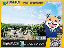 關廟龜洞#近阿蓮#休閒果園#農地