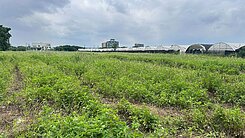 正南青路千坪交通用地