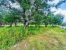 陳依佳強推~~~珠生路邊小田