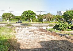 🍎梧棲住四雙面路正蓋8戶🏆