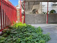 台東近更生路全聯大地坪可停車靜巷透天