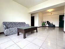 文化中心大三房車位華廈