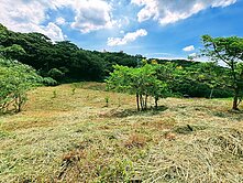 楊梅體育園區低總價景觀農地